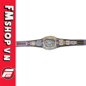 (2ND)JOHN CENA FAREWELL TOUR 2025 SPINNER BELT