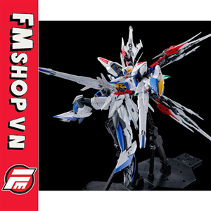 (2ND) MG GUNDAM ECLIPSE + MANEUVER STRIKER