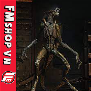 (2ND) NECA ALIEN 3 ULTIMATE EDITION