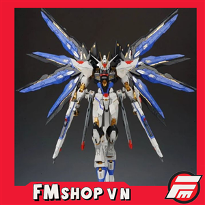 (2ND NO BOX) 1/100 DABAN STRIKE FREEDOM GUNDAM VER.MB