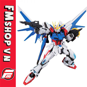 (CÓ TÌNH TRẠNG) RG BUILD STRIKE GUNDAM FULL PACKAGE