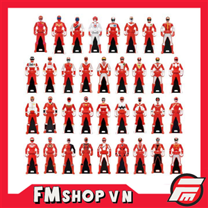 (JPV)DX MEMORIAL EDITION GOKAIGER 35 OPEN