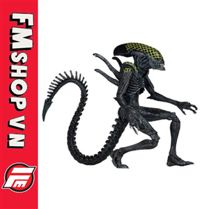 (NEW) NECA GRID ALIEN XENOMORPH WARRIOR AVP FAKE