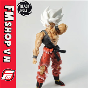 (NEW) SHF GOKU SUPER SAIYAN AWAKEN SPECIAL BLACK HOLE