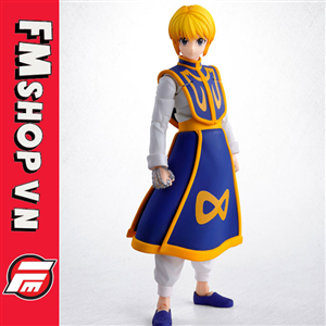 (NEW) SHF HXH CURARPIKT