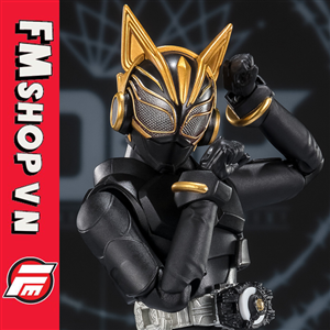 (NEW) SHF KAMEN RIDER NAGO ENTRY FORM