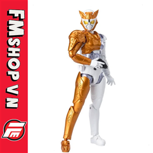 (NO BOX, REPAINT) SHODO KAMEN RIDER VALKYRIE