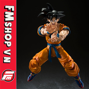 (OPEN) SHF DRAGON BALL SON GOKU SUPER HERO