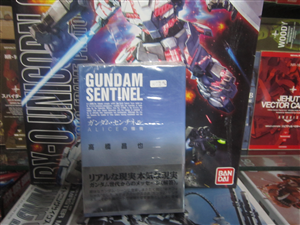 Book GUNDAM SENTINEL