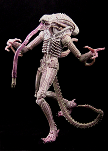 NECA ALIEN ALBINO DRONE CHINA VER