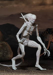 NECA ALIEN NEOMORPH CHINA VER