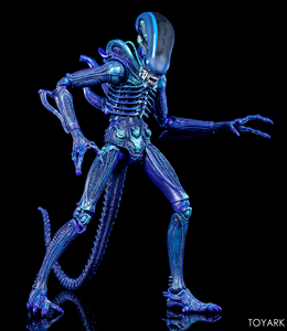 NECA ALIEN WARRIOR CLUB EXCLUSIVE 2019 VER