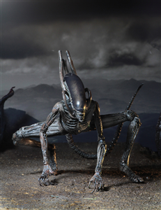NECA ALIEN XENOMORPH CHINA VER
