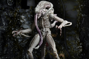 NECA XENOMORPH ALBIND DRONE CHINA VER