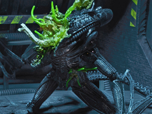 NECA XENOMORPH WARRIOR BLUE BATTLE DAMAGED CHINA VER