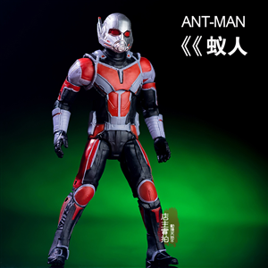 NON MARVEL LEGEND ANT MAN