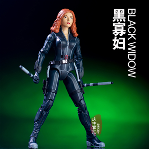 NON MARVEL LEGEND BLACK WIDOW