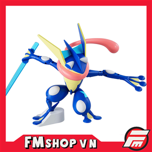 POKEMON GENINJA