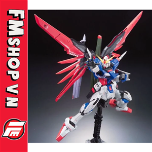 RG 1/144 ZGMF-X42S DESTINY GUNDAM