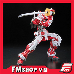 RG ASTRAY RED FRAME GUNDAM