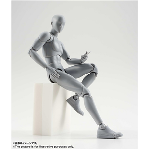 SHF BODY KUN GRAY COLOR DX SET FAKE