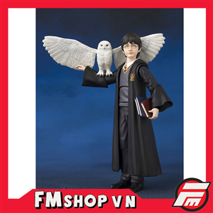 SHF HARRY POTTER OPEN