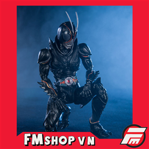 SHF KAMEN RIDER BLACK SUN FAKE