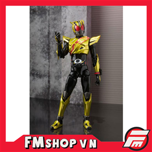 SHF KAMEN RIDER GORD DRIVE