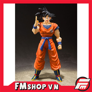 SHF SONGOKU A SAIYAN RAISE ON EARTH OPEN