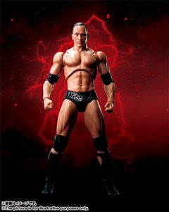 SHF WWE THE ROCK