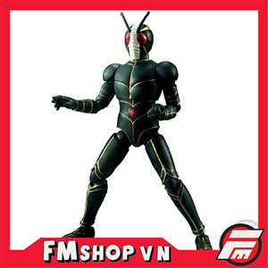 (NO BOX) SHODO KAMEN RIDER ZO