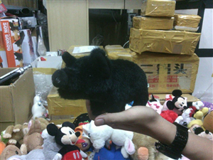 THÚ BÔNG BLACK PIG