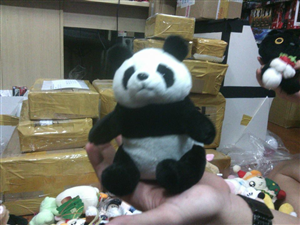 THÚ BÔNG PANDA SUPER CUTE