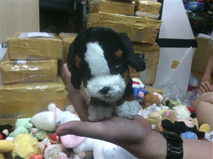 THÚ BÔNG THREE COLOR DOG