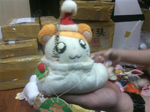 THÚ BÔNG TOTTOKO AND WIFE