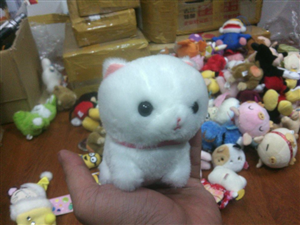 THÚ BÔNG WHITE CAT CUTE
