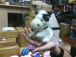 THÚ BÔNG WHITE COW