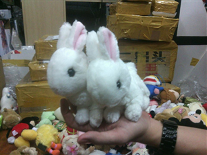 THÚ BÔNG WHITE RABBIT CUTE