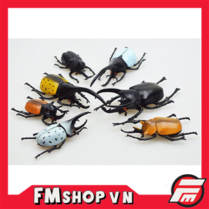 WORLD KABUTO STAG COLLECTION 5 BEETLE SET A (JAPAN VER)