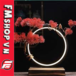 (2ND) ĐÈN DECOR TRÒN KÈM BONSAI