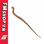 (2ND) ĐŨA PHÉP VICTOR KRUM