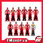 (JPV) AFTER GOKAIGER HERO MEMORIAL EDITION OPEN