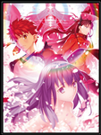 CD FATE STAY NIGHT SRING SONG (JPV)