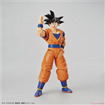 FIGURERISE 6 - SONGOKU