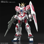 GUNDAM HG RX-9/C NARRATIVE GUNDAM C-PACKS