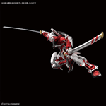 HIRM HI RESOLUTION ASTRAY RED FRAME