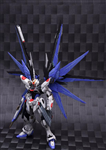 METAL BUILD FREEDOM GUNDAM NO NAME