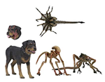 NECA ALIEN 3 CREATURE PACK