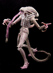 NECA ALIEN ALBINO DRONE CHINA VER