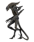 NECA ALIEN DEFIANCE XENOMORPH CHINA VER